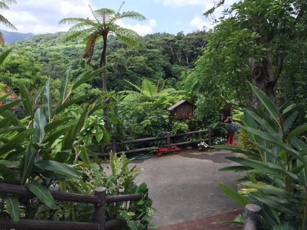 沖繩親子景點 DINO 恐龍公園 山原亞熱帶之森
