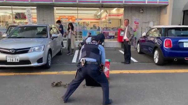 日本街頭見警察以為有大事發生 原來是為了護送鴨子回家 網民大讚窩心