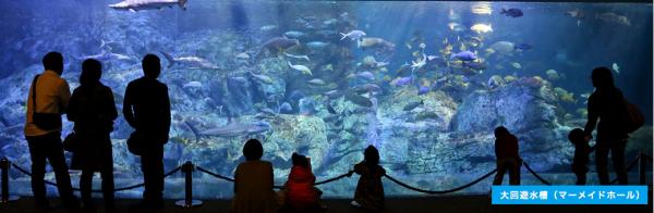 大分海之卵水族館 大分海之卵水族館