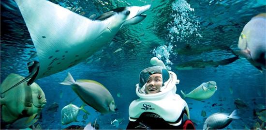 新加坡家庭親子遊10大景點推介 全球最大水族館/夜間動物園/室內飛行體驗