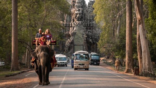 柬埔寨吳哥窟擬2020年起禁止遊客騎大象