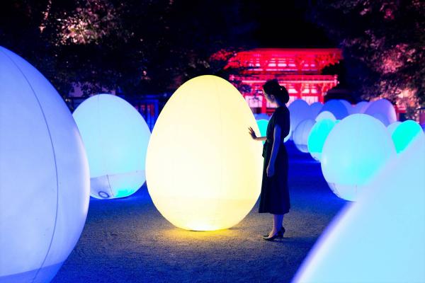 大自然化身光之藝術空間 teamLab再度舉行京都下鴨神社光之祭典