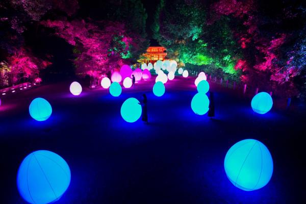 大自然化身光之藝術空間 teamLab再度舉行京都下鴨神社光之祭典