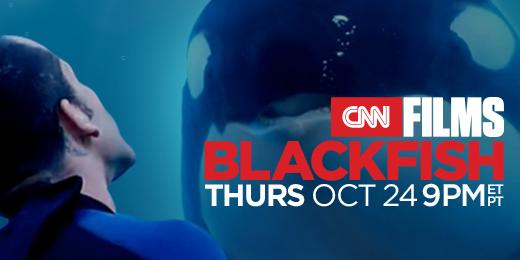 美國CNN於2013年發表紀錄片《黑鯨紀錄片》(Blackfish)講述了殺人鯨在美國海洋世界(Sea World)攻擊訓練員的事由，讓人們意識到鯨魚被囚禁去表演的身心折磨，開始進行抵制行動。