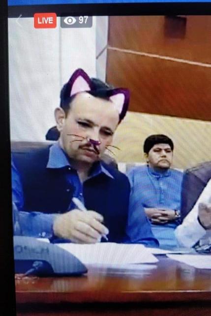 巴基斯坦政府直播錯手啟動濾鏡 官員化身貓咪大臣！