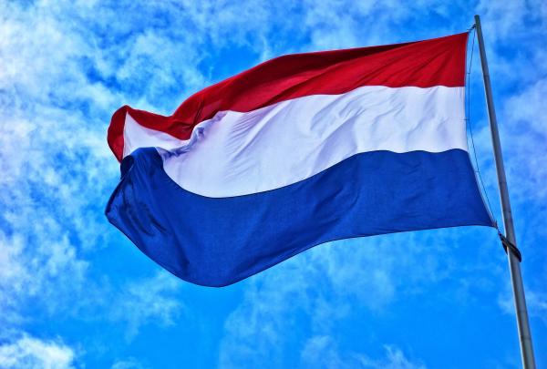 荷蘭成全球第一沒有流浪狗的國家 棄養／疏忽照顧或被判入獄！