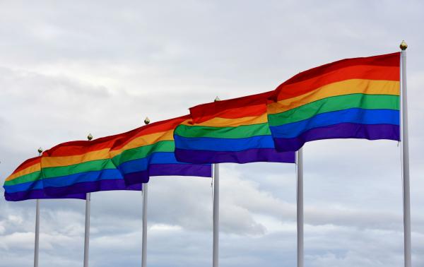 日本首個縣政府推行！ 茨城縣7月推行同性「伴侶宣誓制度」
