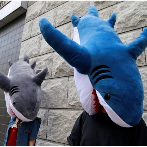 鯊魚夏天再來襲！ 日本推出淺藍新色鯊魚攬枕