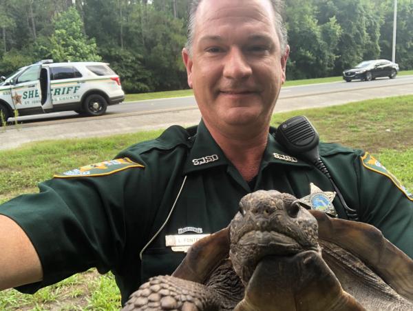 美國烏龜因阻路被捕獲釋放 警方：烏龜態度良好配合調查，還合照留念！