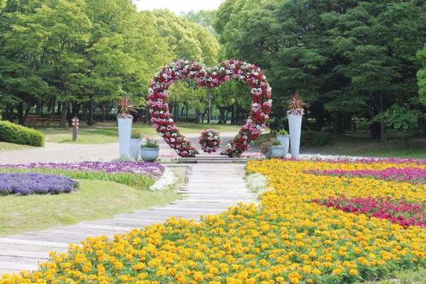 大阪、奈良等關西地區7大向日葵花田推介 大阪市立長居植物園