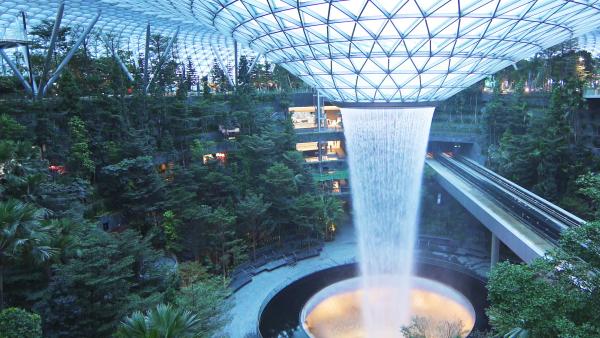 新加坡樟宜機場加入teamLab裝置 機場變成幻燈森林！