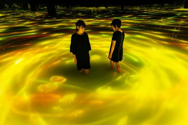 豐洲teamLab夏季限定 金黃水池鯉魚向日葵互動投影