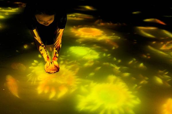 豐洲teamLab夏季限定 金黃水池鯉魚向日葵互動投影