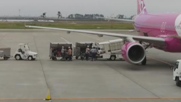 日本仙台機場職員超細心搬寄艙行李 網民大讚貼心：感謝你們善待我的行李箱