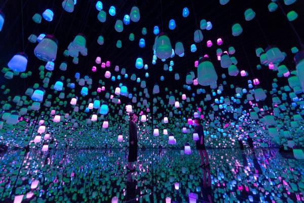 台場teamLab美術館夏日限定主題 繡球花色燈之森林