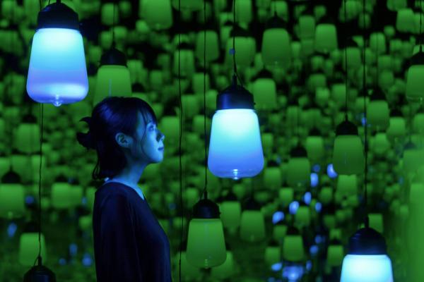 台場teamLab美術館夏日限定主題 繡球花色燈之森林