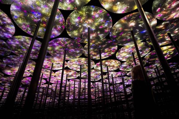 台場teamLab美術館夏日限定主題 繡球花色燈之森林