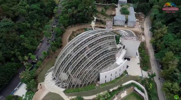 超萌水豚、 樹獺進駐！ 台北市立動物園熱帶雨林館開幕