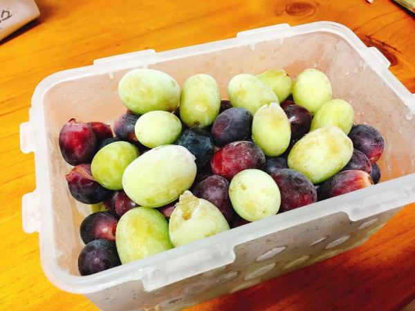韓國網上大熱全新水果食法 炎夏必試冷凍提子！