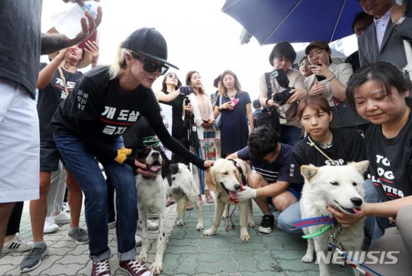 韓國動物團體發反對食用狗肉示威 狗農同場辦試食會！