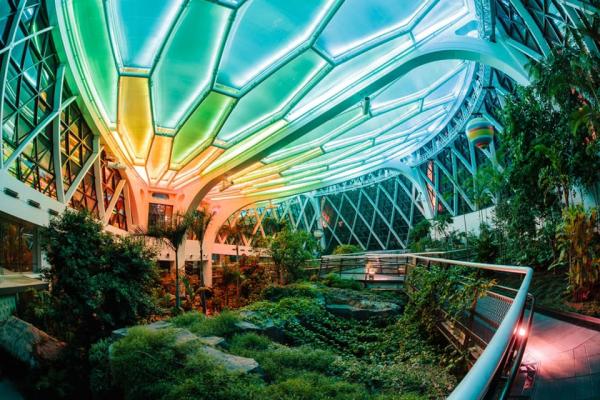 首爾植物園夏日限定夜間觀覽 玻璃溫室夢幻燈光體驗！