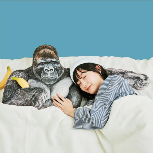 躺在大猩猩的臂彎！ 日本最新人氣帥哥猩猩臂枕