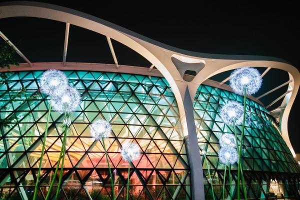 首爾植物園夏日限定夜間觀覽 玻璃溫室夢幻燈光體驗！