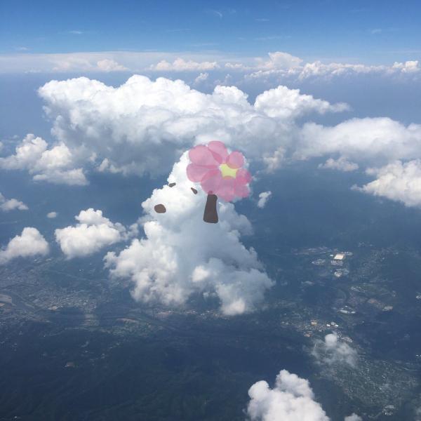 日本旅客坐飛機無聊即興畫畫 超萌飛機雲畫激發網民創意