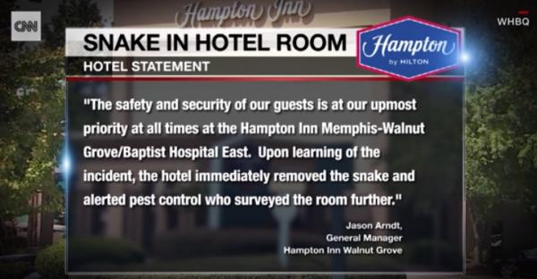 美國遊客住酒店熟睡感異樣 驚見細長青蛇纏上手臂