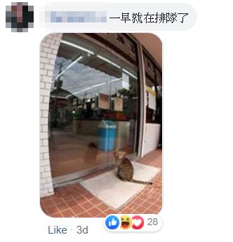 台灣便利店2隻自來鴨長駐 店員貼告示介紹：來吹冷氣的