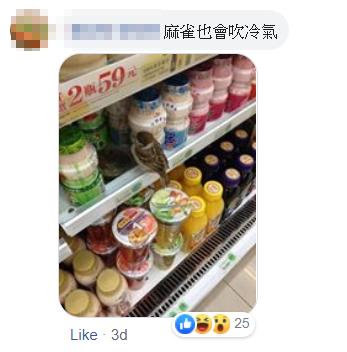 台灣便利店2隻自來鴨長駐 店員貼告示介紹：來吹冷氣的