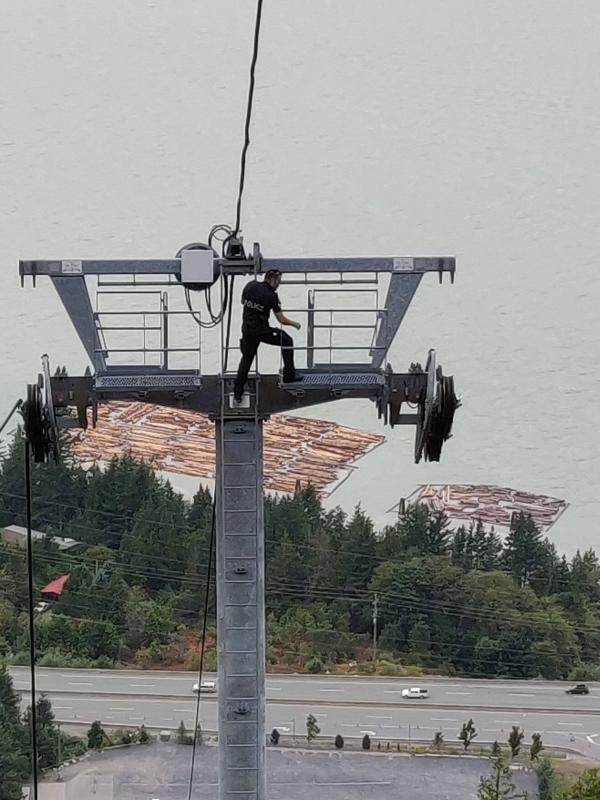 加拿大著名景點「海天纜車」疑遭惡意破壞 鋼纜被剪斷近30部纜車墜地