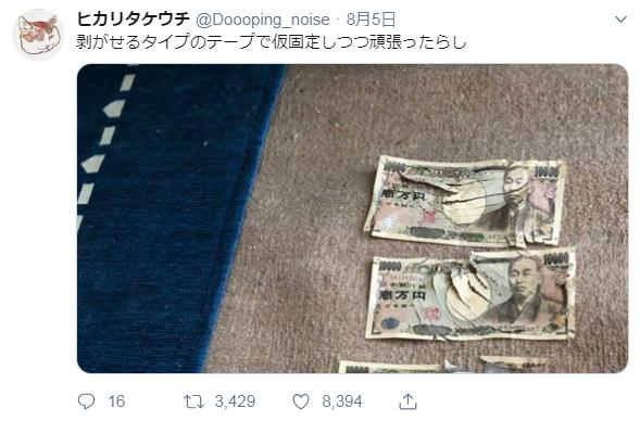 鸚鵡咬爛多張一萬日圓紙幣