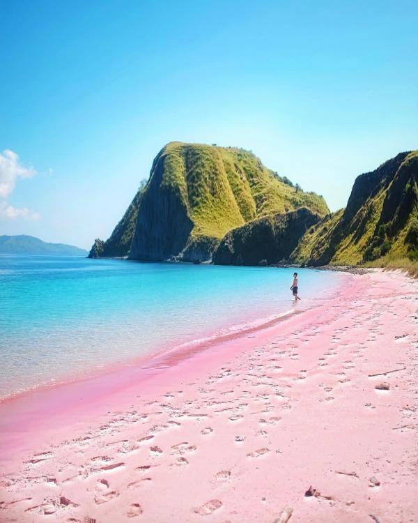 世界7大自然粉紅景色合集 自然形成粉紅湖／粉紅沙灘
