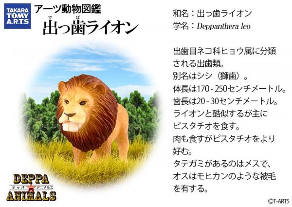 哨牙獅子、熊貓超搞笑！ 日本新推爆牙動物扭蛋