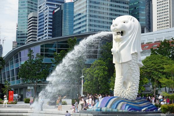 新加坡宣佈將全面禁售象牙 違者將面臨最高一年監禁及罰款