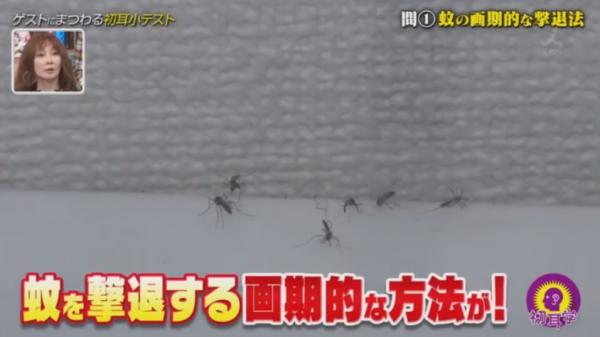 夏日出遊秒殺蚊子 日本節目教1招最強拍蚊法