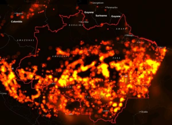 亞馬遜熱帶雨林山火持續數周 今年已錄得74,000宗山火 濃煙面積比歐盟更大