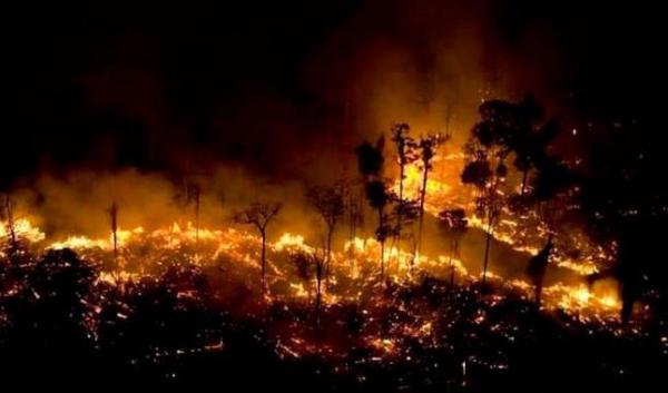 亞馬遜熱帶雨林山火持續數周 今年已錄得74,000宗山火 濃煙面積比歐盟更大