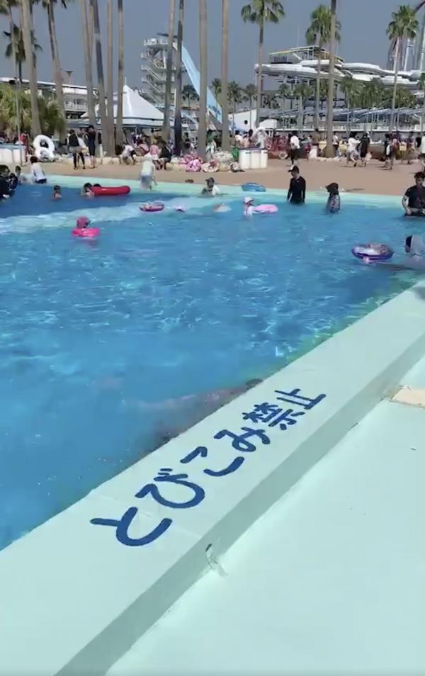 因為不准跳進泳池所以靜靜地進入 日本網民爆笑入池方式網絡爆紅35萬人點讚