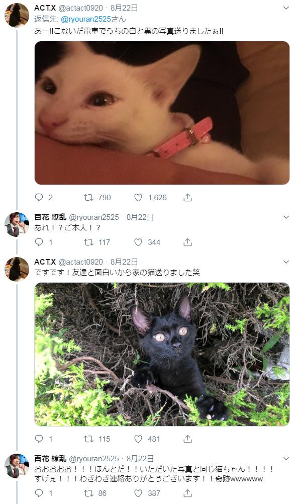 日本網民妙改iPhone名 成功收到AirDrop多張貓星人照片