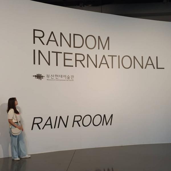 韓國國際人氣裝置藝術展 雨中漫步互動展品！