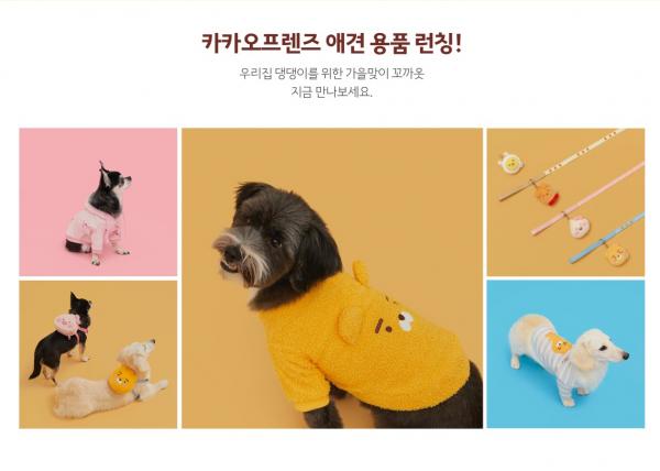 韓國KAKAO FRIENDS全新系列產品 超可愛小揹袋／衛衣！