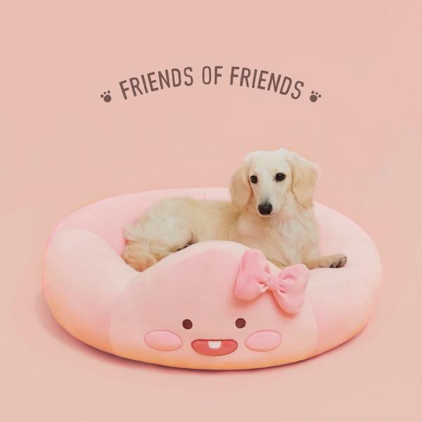 韓國KAKAO FRIENDS全新寵物系列 超可愛小揹袋／衛衣！