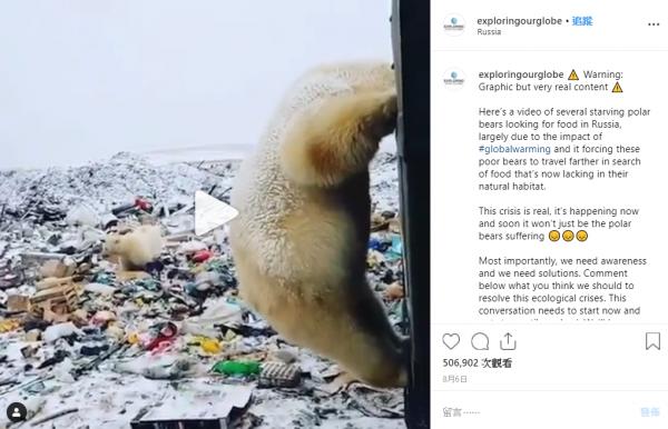 北極熊遠征去市內垃圾堆覓食 網民心痛：人類毀壞了動物的家園