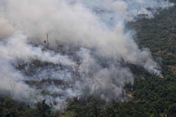 巴西政府頒佈禁火令災情未受控 48小時內仍有近4,000宗新山火