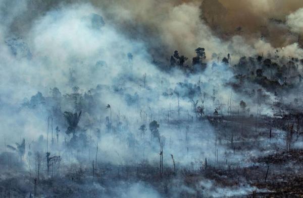 巴西政府頒佈禁火令災情未受控 48小時內仍有近4,000宗新山火