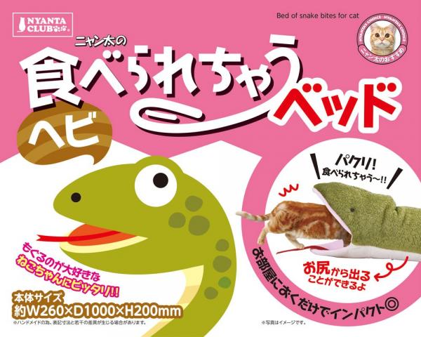 日本網民捕捉貓星人被蟒蛇吃掉一刻 還在蟒蛇肚子裡睡著睡相超萌！