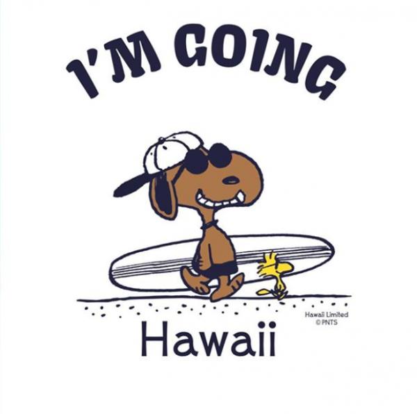 夏威夷限定Snoopy專門店 曬傷焦糖色Snoopy公仔+草裙查理布朗