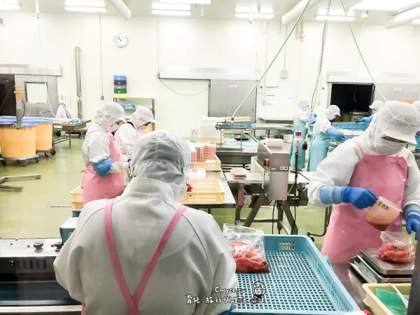 茨城縣免費入場參觀明太子工廠 了解明太子製作過程/免費試食